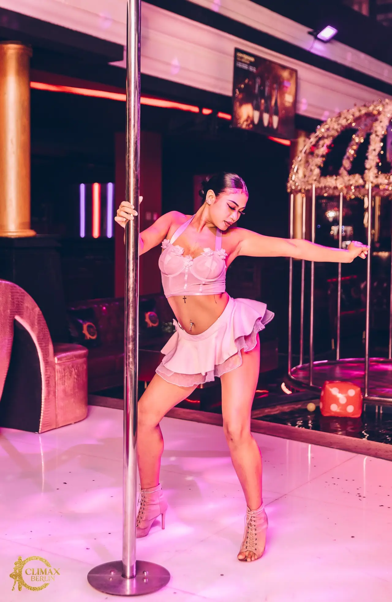 Professional Dancers - Image 8